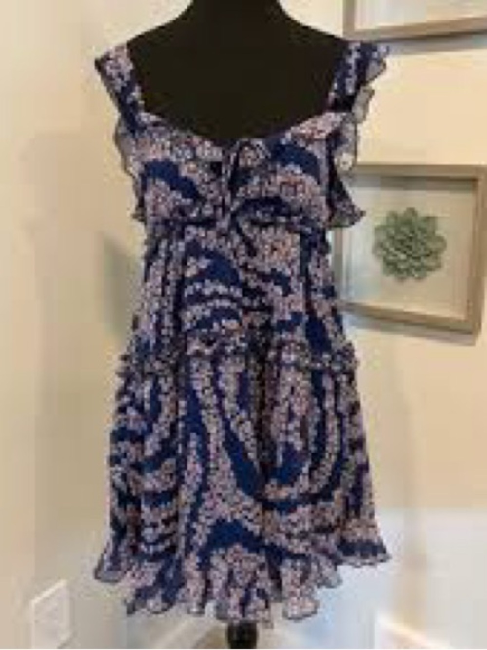 Patrons of Peace Blue Floral Ruffle Mini Dress